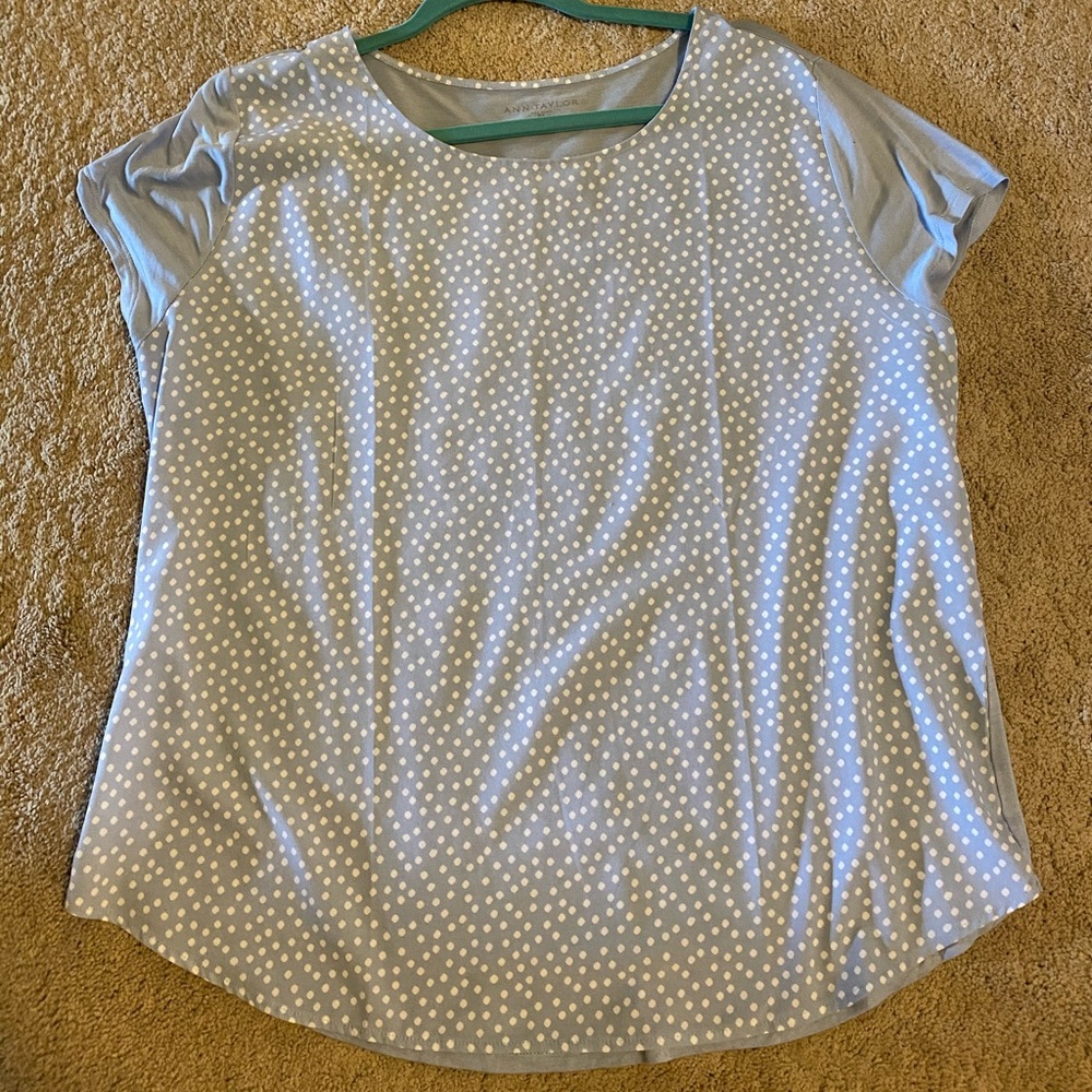 Ann Taylor Baby Blue Blouse XL
